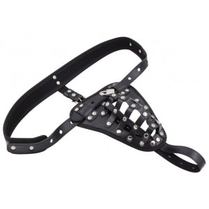 Belt